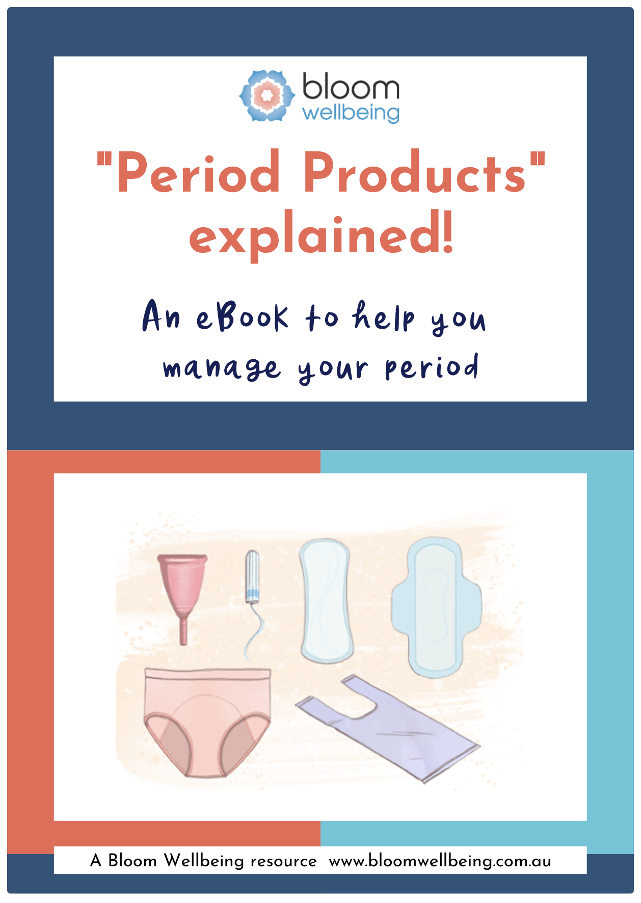 Period Products Explained Ebook